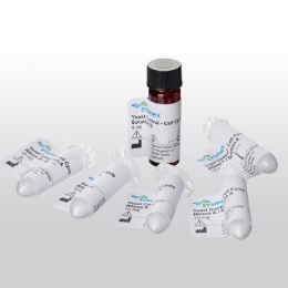 酵母細(xì)胞周期檢測試劑盒Yeast Control? - Cell Cycle