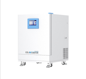 立式二氧化碳培養(yǎng)箱BPNZ-100CD(雙層)