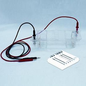 瓊脂糖水平電泳槽(中號)DYCP-32B型