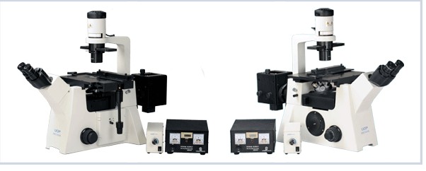 倒置熒光生物顯微鏡DSY5000X