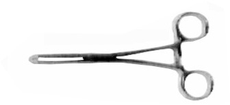 不銹鋼組織鉗YF-038