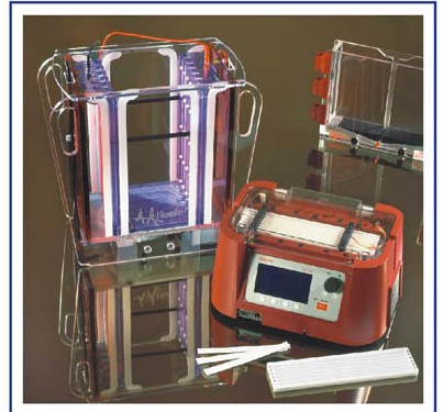 2D雙向電泳系統(tǒng)