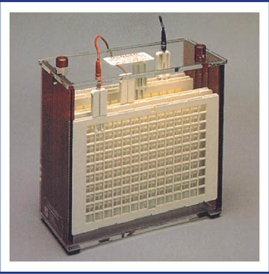 冷卻式蛋白轉(zhuǎn)印儀