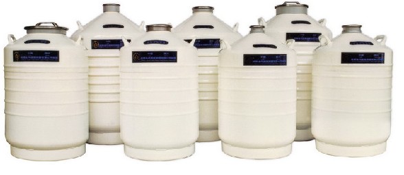 液氮生物容器(運(yùn)輸型II)