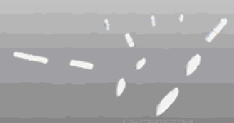 聚四氟磁性攪拌子