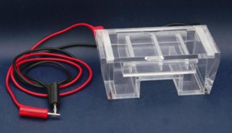 RDY 瓊脂糖水平電泳儀