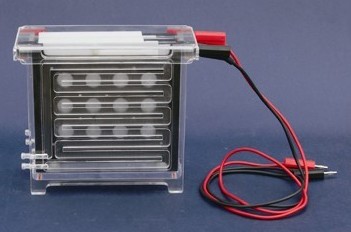 RDY-ZY1/RDY-ZY2  轉(zhuǎn)印電泳儀