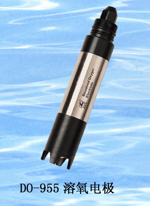 工業(yè)溶氧電極DO-955型