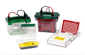 伯樂Criterion預制膠系統(tǒng)