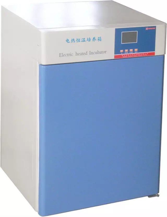 產(chǎn)品名稱:電熱恒溫培養(yǎng)箱SKP-03B.600(不銹鋼內(nèi)膽)