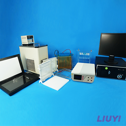 雙向電泳系統(tǒng)