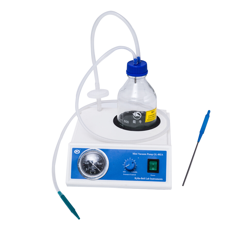 真空泵微型臺式GL-802A