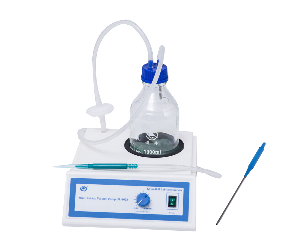 真空泵微型臺式GL-802B型