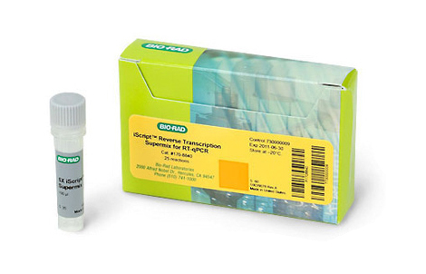 用于 RT-qPCR 的 iScript™ 逆轉(zhuǎn)錄超混合液