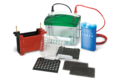 小型 Mini Trans-Blot® 轉印槽